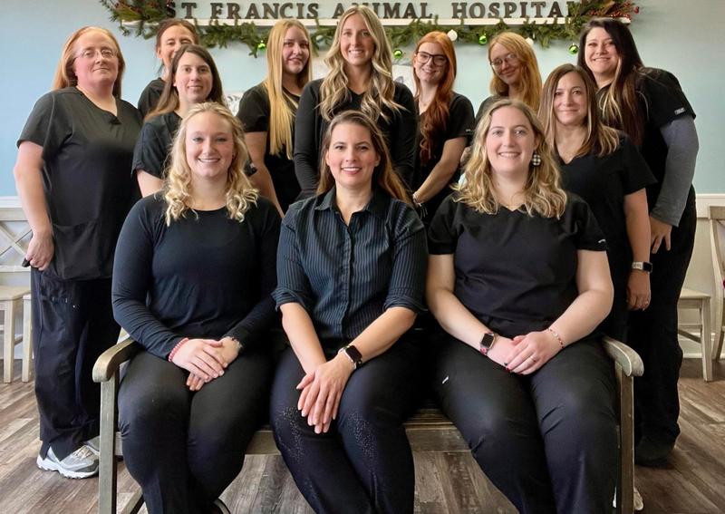 St. Francis Animal Hospital North Huntingdon veterinary hospital